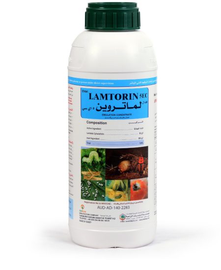 LAMTORIN